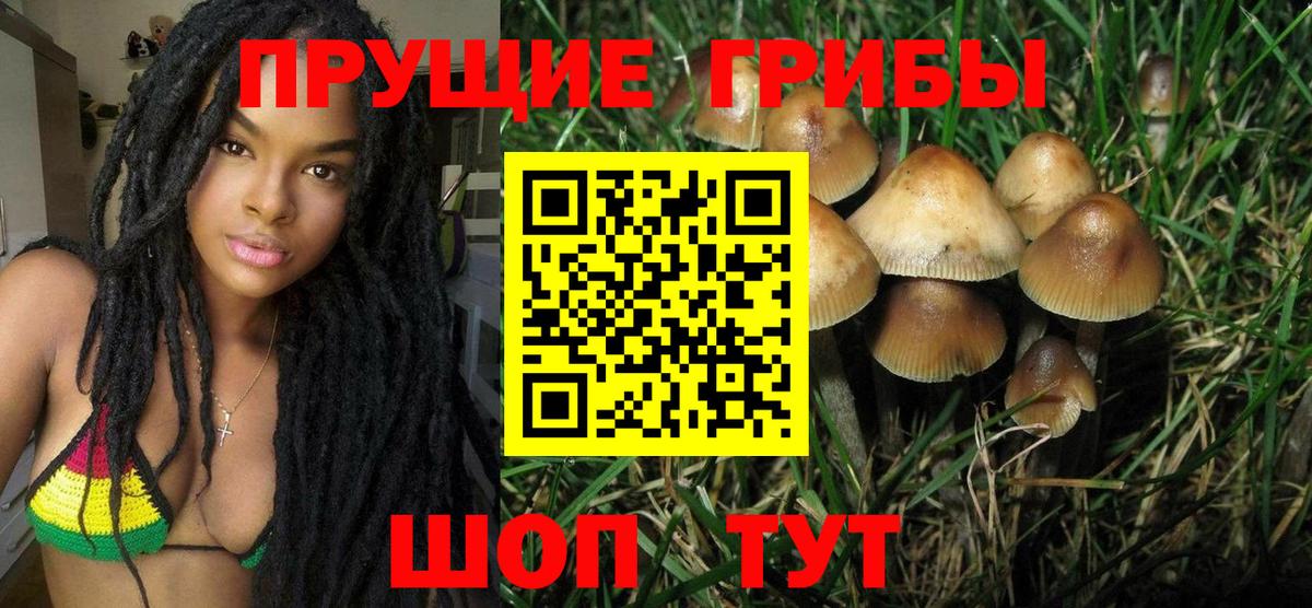 как найти наркотики  Галлюциногенные грибы MAGIC MUSHROOMS  Галлюциногенные грибы Cubensis  Вход с VPN  Славгород 
