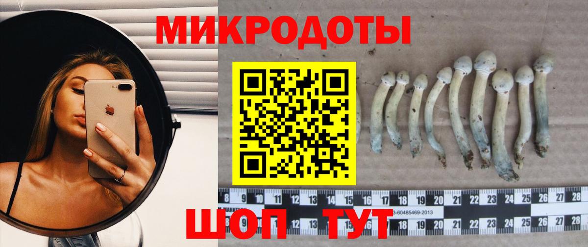 Псилоцибиновые грибы мицелий Славгород